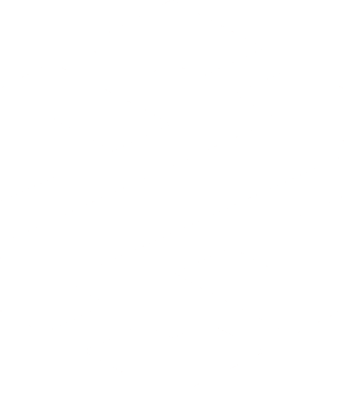 Link to BTCI Dextools chart